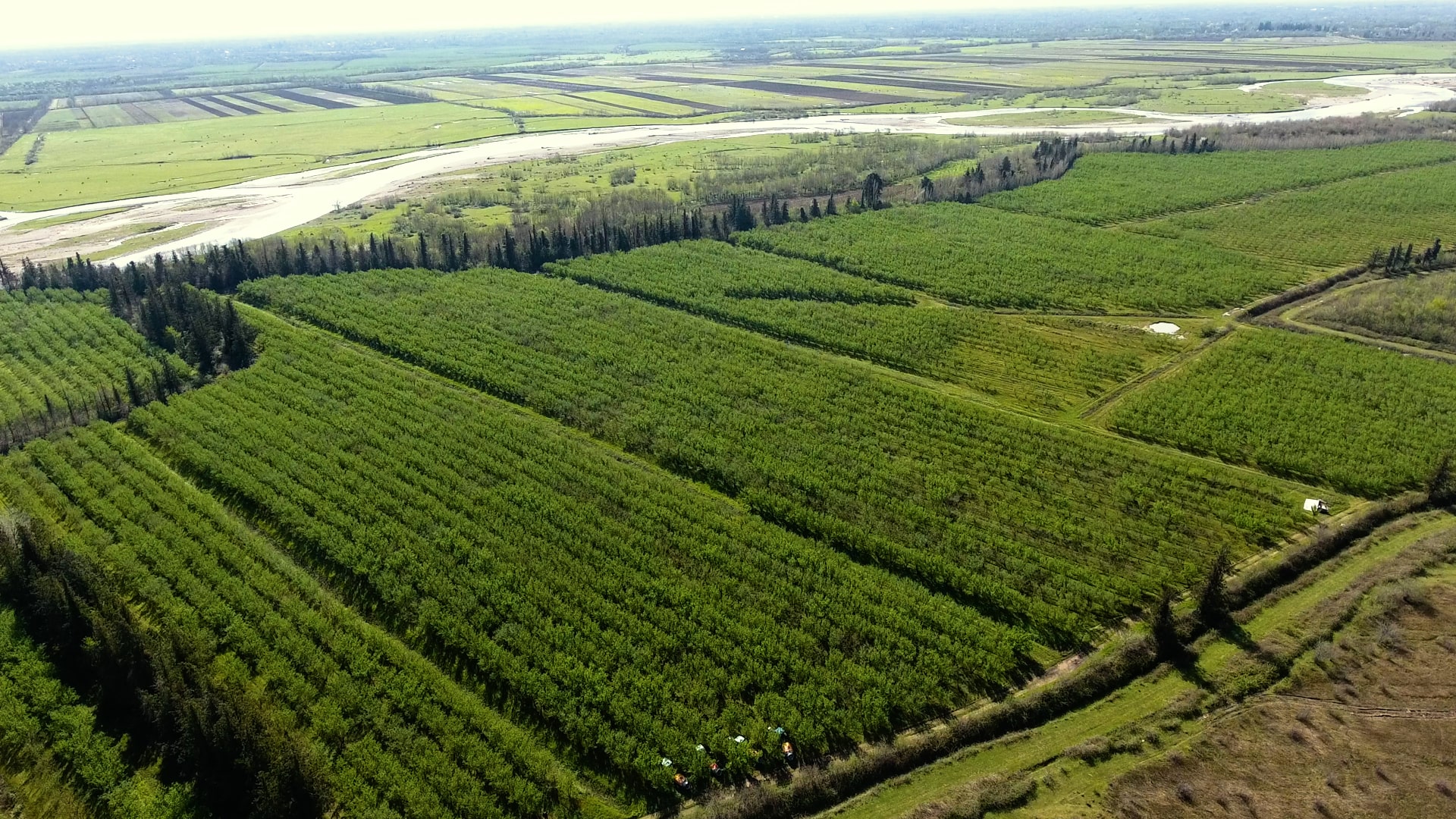 Nuts Incorporated Hazelnuts and Almonds Producers Company